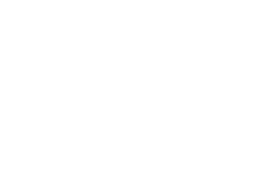 Computer icon