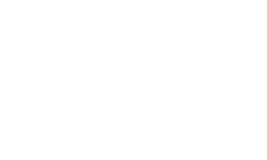 Language icon
