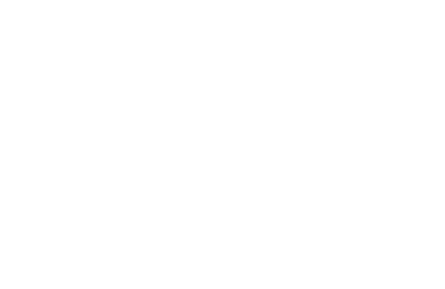 Ticket icon